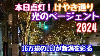 2024年11月15日 本日点灯！けやき通り光のページェント！16万球が新潟の夜を演出