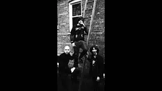 Damage Industry - LYMBZ