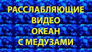 РАССЛАБЛЯЮЩИЕ ВИДЕО. ОКЕАН С МЕДУЗАМИ! | Makarius Channel