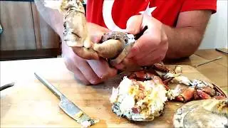 How to Get the Meat Out Of A Crab