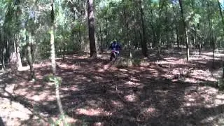 VID00238