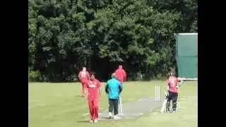 Denmark - Germany Mikkelberg Cricket Ground 2012