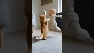 cat and baby battle||#cute #shorts #shortsfeed #shortsvideo