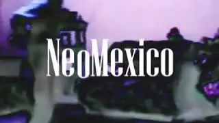 Neo Mexico
