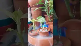 Waterfall For Home Decor #waterfall #homedecor #diy #ঝর্ণা #smoke #tree #short