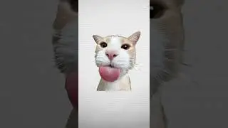 Котик залетит?)) #трендытиктока #тренд2025 #трендскотом #мем #мемы #meme #memes #cattrend #cat #cats