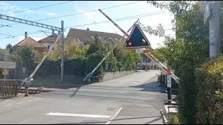 Bahnübergang Münchenbuchsee (CH) // Swiss Railroad Crossing