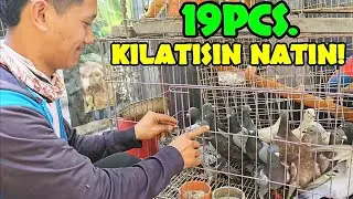MAGANDA LAHAT NG PILI... ANG GALING