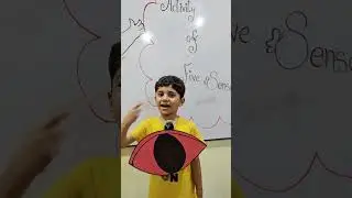 Five Senses Activity | Five senses for Kids