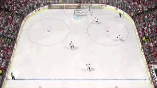 Worst type of NHL player