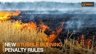 New stubble burning penalty rules | DD India