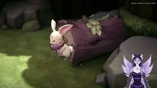 Springing into the Magic of WitchspringR!