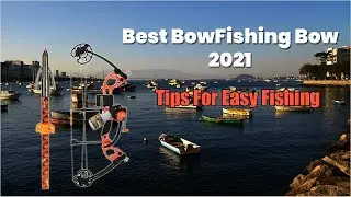 Best bowfishing bow 2021 | Bowfishing Bow Reviews |