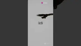 ExploringWild Hindi #shorts
