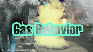 Who Else Wants to Learn about Gas Behavior