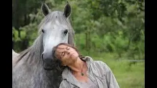 Comment communiquer avec son cheval. Cheval qui est tu ?