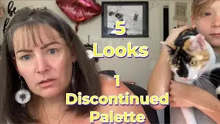 5 looks using Blend Bunny #surge  #5looks