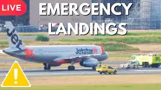 LIVE BRISBANE AIRPORT - Emirates A380 Qantas Heavies & More | Plane Spotting