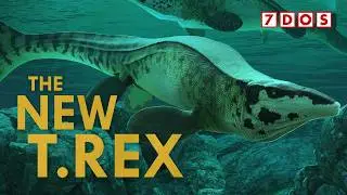 The T. rex of the Sea Was Just Discovered