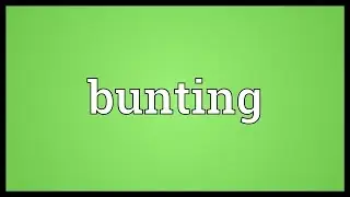 Bunting Meaning