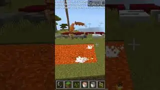 Foxes got mad #trend #shorts     #minecraft