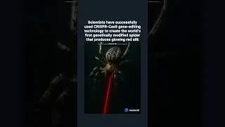#scientists created genetically #modified #spider