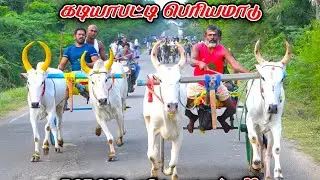 புதுக்கோட்டை மாவட்டம் கடியாப்பட்டி பெரியமாடு நேரலை 25k பந்தயம்