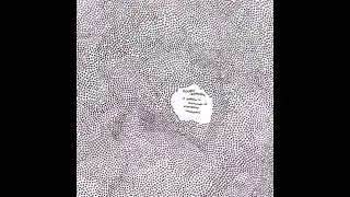 Double Leopards &ndash; A Pebble In Thousands Of Unmapped Revolutions (2001, Vinyl)