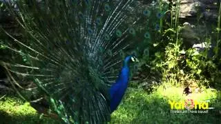 Virginia Zoo in Norfolk Virginia