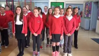 Follow our Eco Rules by Cyfarthfa Junior School