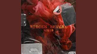 HIDDEN REVEAL