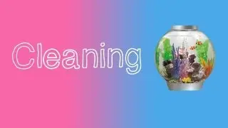 How to clean a fish tank (BiOrb)
