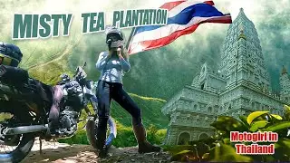 Thailand | Misty Tea Plantation, Mae Taeng - 🇹🇭 (4k)