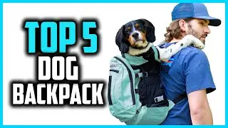 ✅Best Dog Backpack Carriers in 2024