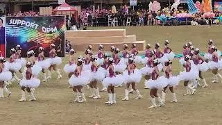 Cabanglasan NHS drum and lyre corps