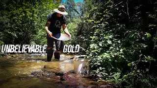 I did NOT expect to find that much GOLD on day one!