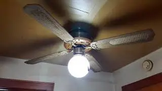 Palm Air 52