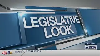 East Texan’s bill to abolish Texas Lottery Commission passes House