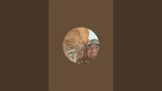dofo ruiz Mr tiger 🐅 is live!