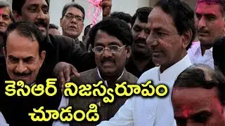 CM KCR Personal Life And Political Career | Telangana CM KCR Education Profile | Tollywood Nagar