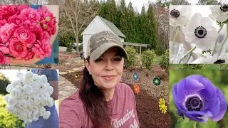 Planting For Wedding Blooms