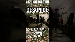 Desonide &ndash; Live at GOODBYE 2025 | Seoul Emo/Skramz