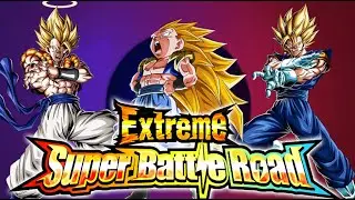 EXTREME SUPER BATTLE ROAD STAGE 80! MASTERED EVOLUTION ONLY! (DBZ Dokkan Battle)