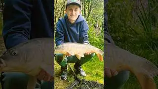 Releasing a 6lbs mirror carp!! #fishingvideo #carp #fish #carpfishing #mirrorcarp #fishing #shorts