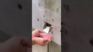 Гигантский осетр на рыбоводном заводе Бонневиль | Экскурсия на рыбоводный завод Бонневиль | Орегон
