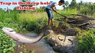 Fishing Trap in the deep hole, Deep hole fishing, Khmer Traditional fishing, Fishing Trap