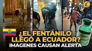 FENTANILO EN ECUADOR: Im&aacute;genes crean ALERTA ante posible llegada de POTENTE DROGA | El Comercio