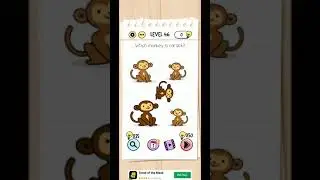 which monkey is carsick
