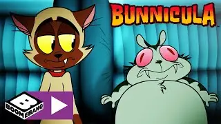 Bunnicula | Tierfestival | Cartoonito