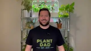 Ordering Pods From ClickandGrow